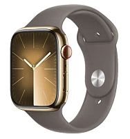 Умные часы Apple Watch Series 9 Stainless Steel