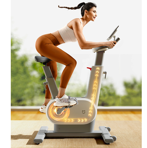 Домашний велотренажер Xiaomi Mijia Spinning Bike
