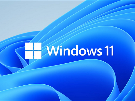 Интересная опция в Windows 11