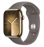 Умные часы Apple Watch Series 9 Stainless Steel