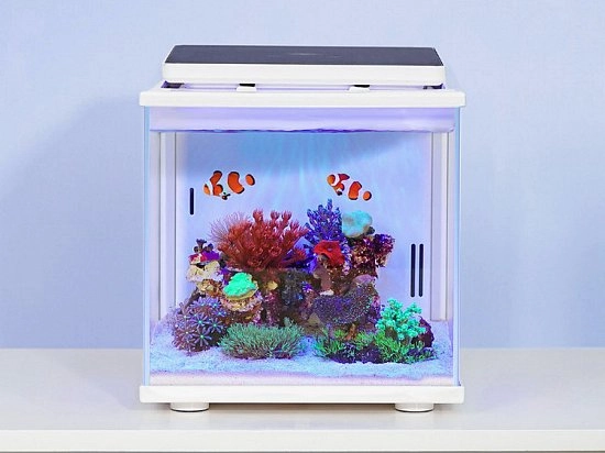 Умный аквариум с поддержкой оптимальной температуры