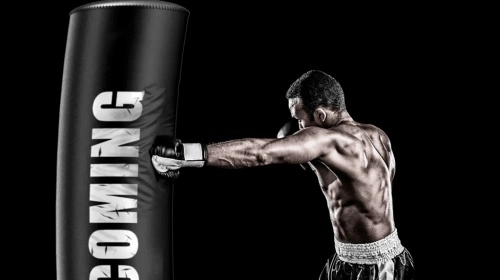 Боксёрский мешок FED Felton Vertical Tumbler Home Martial Arts Boxing Sandbags фото 2