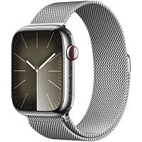 Умные часы Apple Watch Series 9 Stainless Steel