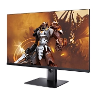 Монитор Xiaomi Gaming Display 27" 165 Hz (XMMNT27HQ) 