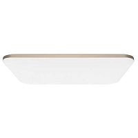 Потолочная лампа Yeelight Halo Ceiling Light Pro 930 x 630 mm (YLXD49YL) 