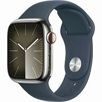 Умные часы Apple Watch Series 9 Stainless Steel