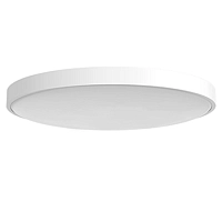 Потолочная лампа Yeelight Chuxin Ceiling Light C2001C450 - 450 mm (YLXD036) 