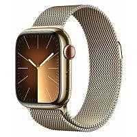 Умные часы Apple Watch Series 9 Stainless Steel